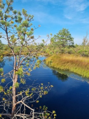 ����� �������: ��� ������������ ������ � ����������� ����������