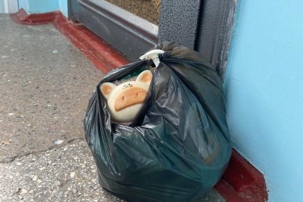 ��������� ������: ��� ������� ������ ���� � ��������