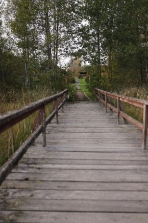 ����� ����, ����� �������: ��� ����� ����� � ��������������