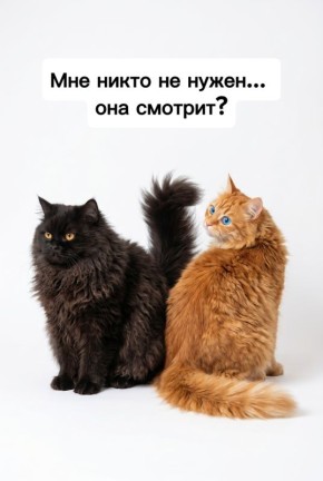 ���������� ��� �������������: ����� �������� � ������������� ���������