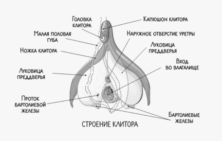 ������� ��������: ����������� � ����� �������������� �������