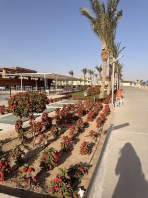 ������ ����� ��������� ���� ����� � �� ����������� �� �����