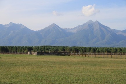 ������ ������������ �� �������� �����������?