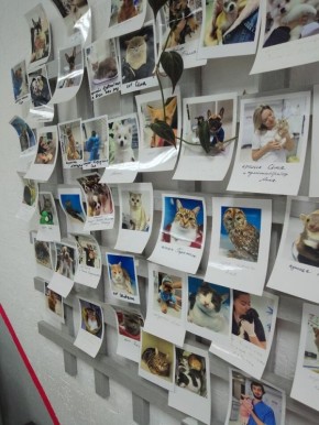 �������� �� ������ ������ ������