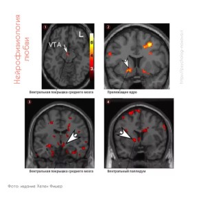 ��� ��������������� ��������� ���� �������: ������� ������ �� ������