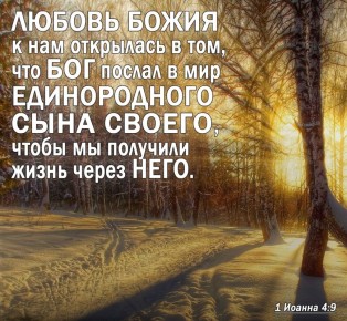 ������������ ���� ����� � ������������