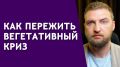 Преодоление вегетативного криза: от страха к контролю